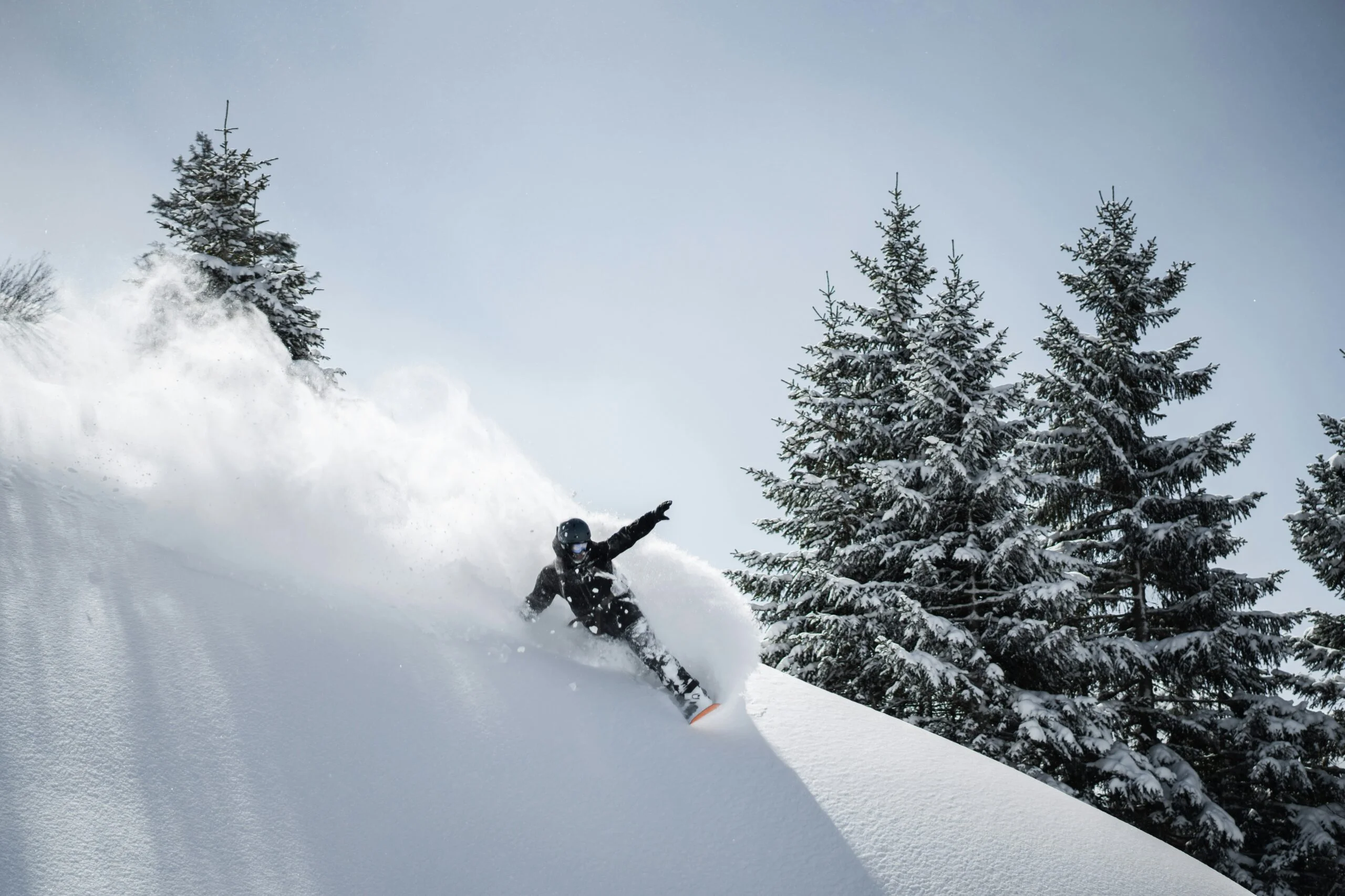 A snowboarder throwing up powder on a steep slope beside snow-covered fir trees