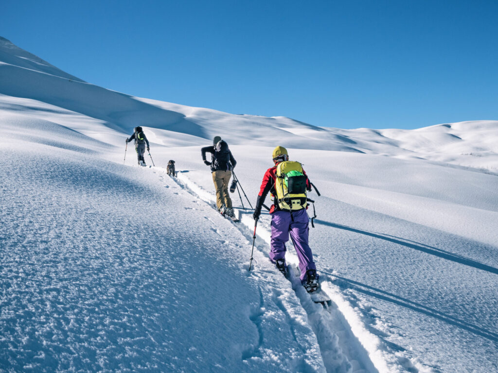 A group climbing a snowy track on splitboards and skis under a clear blue sky